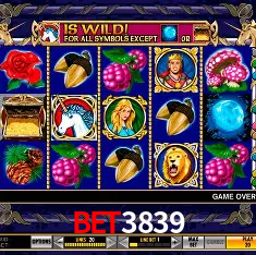 bet3839 Belo Horizonte - VIP Casino